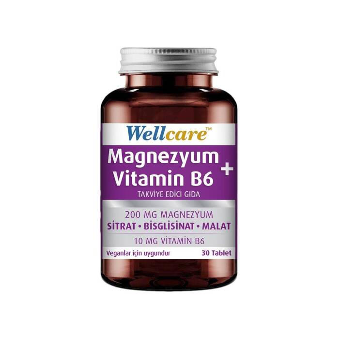 Wellcare Magnezyum + Vitamin B6 30 Tablet - 1